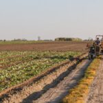 Entrepreneur agricole