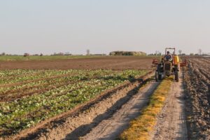 Entrepreneur agricole
