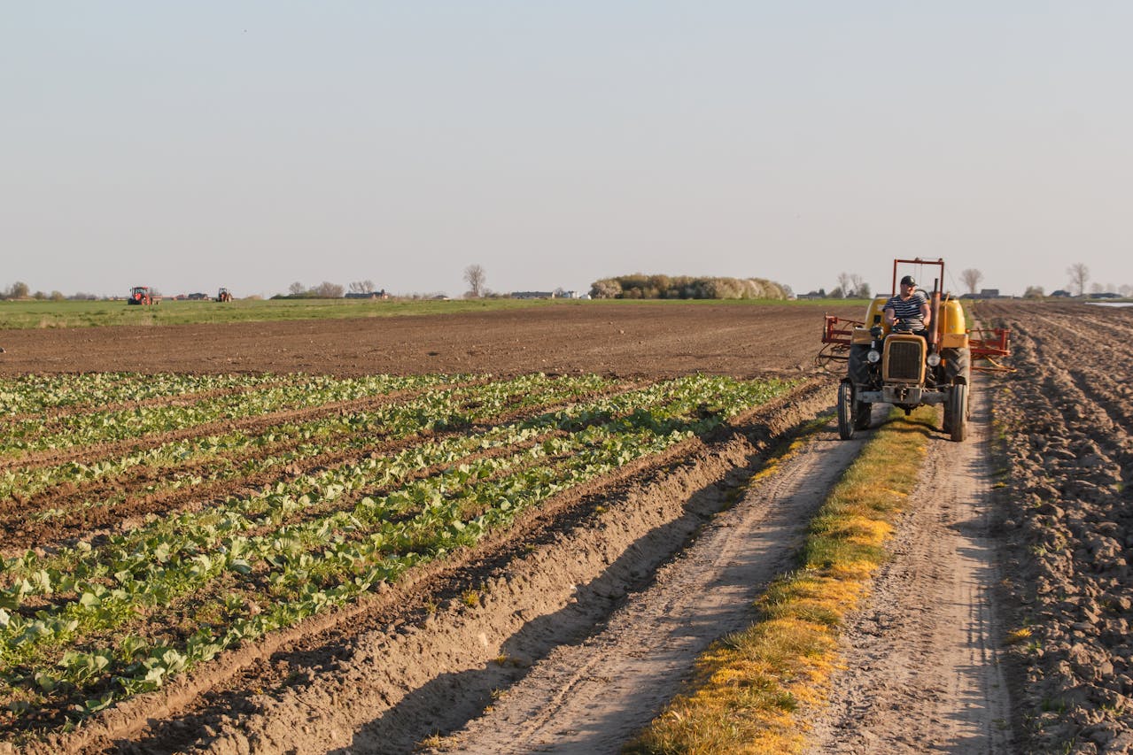 Entrepreneur agricole