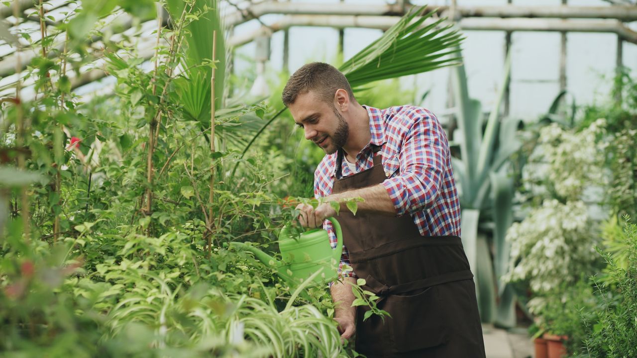 Auto-entrepreneur en jardinage